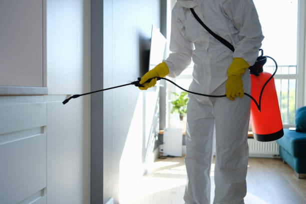 Best Mold Cleaning Services  in Woodall, OK