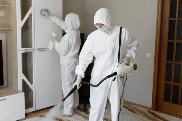 Best Mold Removal Process  in Woodall, OK