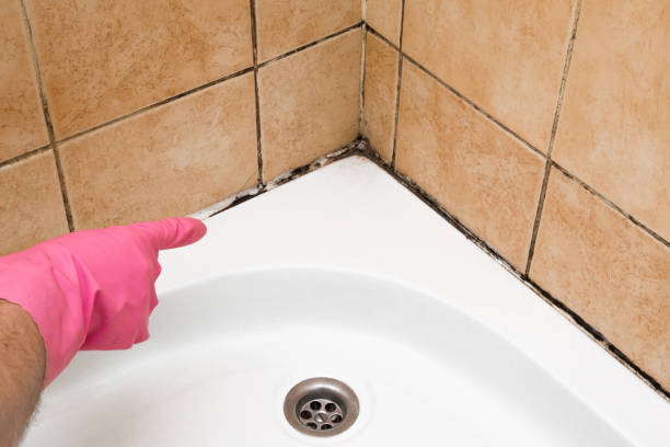 Best Toxic Mold Removal  in Woodall, OK